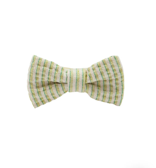 Papillon  a righe verde